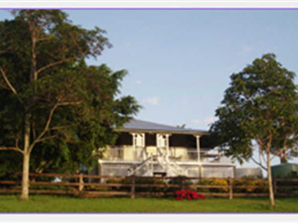 King Scrub QLD Tourism TAS