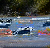 Lake Dyer - Tourism TAS