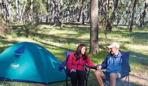 Apsley Falls Campground - Tourism TAS 0
