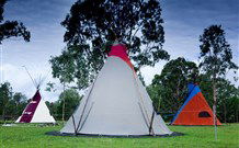 Aranyani Bison Adventure Tourist Park - Tourism TAS 1