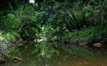 Aranyani Bison Adventure Tourist Park - Tourism TAS 3