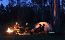 Aranyani Bison Adventure Tourist Park - Tourism TAS 2
