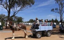 Ariah Park NSW Hobart Tourism