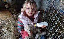Barcoos Farmstays Bathurst - Hobart Tourism 0
