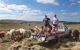 Barcoos Farmstays Bathurst - thumb 1