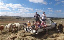 Barcoos Farmstays Bathurst - Hobart Tourism 1