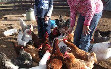 Barcoos Farmstays Bathurst - Hobart Tourism 5