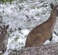 Barokee campground - Tourism TAS