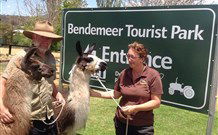 Bendemeer NSW Tourism TAS