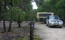 Bittangabee Campground - Tourism TAS 1