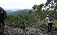 Callicoma Hill Eco-Cabins - Tourism TAS 1