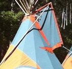 Central Coast Eco Tours - Tourism TAS