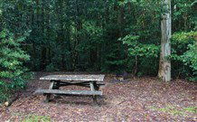 Coombadjha Campground - Tourism TAS 1