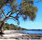 Currarong Beachside Holiday Park - Hobart Tourism