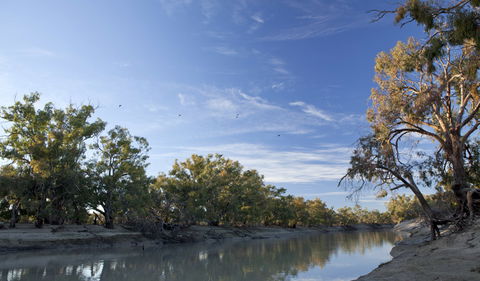 Darling River Campground - Tourism TAS 0