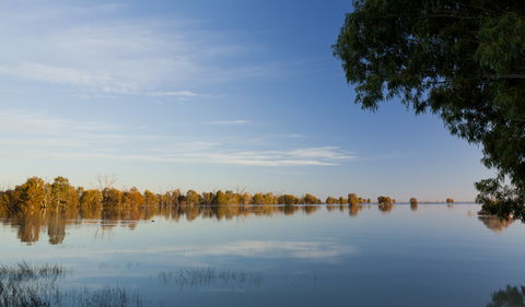 Darling River Campground - Tourism TAS 2