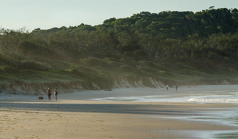 Delicate Campground - Tourism TAS 1