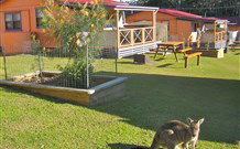 Durras Lake North Holiday Park - Tourism TAS 1