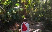 Durras Lake North Holiday Park - Tourism TAS 7