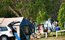 Fingal Holiday Park - Tourism TAS 1