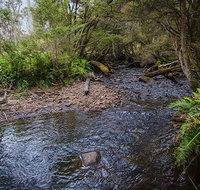 Horse Swamp campground - Tourism TAS