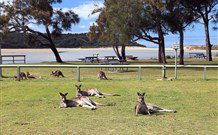 Lake Conjola Entrance Holiday Park - Tourism TAS 2