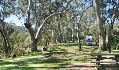 Lemon Tree Flat Campground - Tourism TAS 2