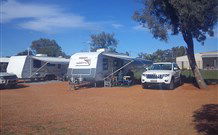 Lightning Ridge Tourist Park - Tourism TAS 2