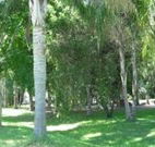Lismore Palms Caravan Park - Tourism TAS