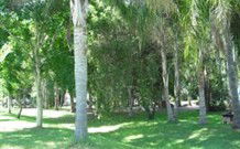 Lismore Palms Caravan Park - Tourism TAS 0