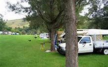 Lostock Dam Caravan Park - Tourism TAS 1