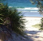 Myola Tourist Resort Caravan Park - Hobart Tourism