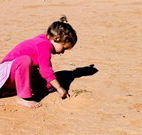 Pimpara Lake Stationstay - Tourism TAS