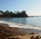 Pleasurelea Tourist Resort and Caravan Park - Hobart Tourism