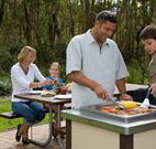 Port Stephens Treescape - Hobart Tourism