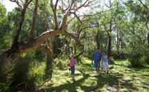 Port Stephens Treescape - Hobart Tourism 4