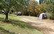 Queanbeyan Riverside Tourist Park - thumb 1