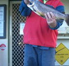 Rainbow Pines Tourist Caravan Park - Tourism TAS