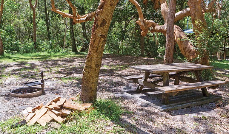Collum Collum NSW Tourism TAS