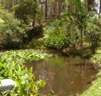 Tallowood Ridge B and B - Hobart Tourism