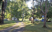 The Channon Village Campground - Tourism TAS 0