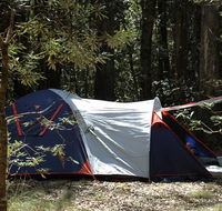 Thungutti campground - Tourism TAS