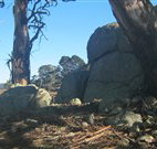 Warreen Farmstay Rural Accommodation - Tourism TAS