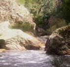 Wee Jasper Reserves Camping Sites - Tourism TAS