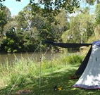Williams River Holiday Park - Tourism TAS