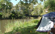 Williams River Holiday Park - Tourism TAS 0