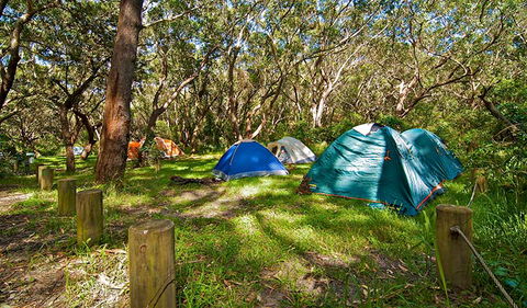 Yagon Campground - Hobart Tourism 2