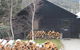 Crackenback Farm Mountain Guesthouse - thumb 1