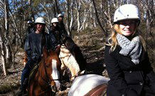 JE Resort (Jindabyne Equestrian Resort) - Hobart Tourism 1
