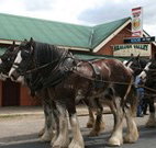Araluen Valley Hotel - Araluen - Tourism TAS